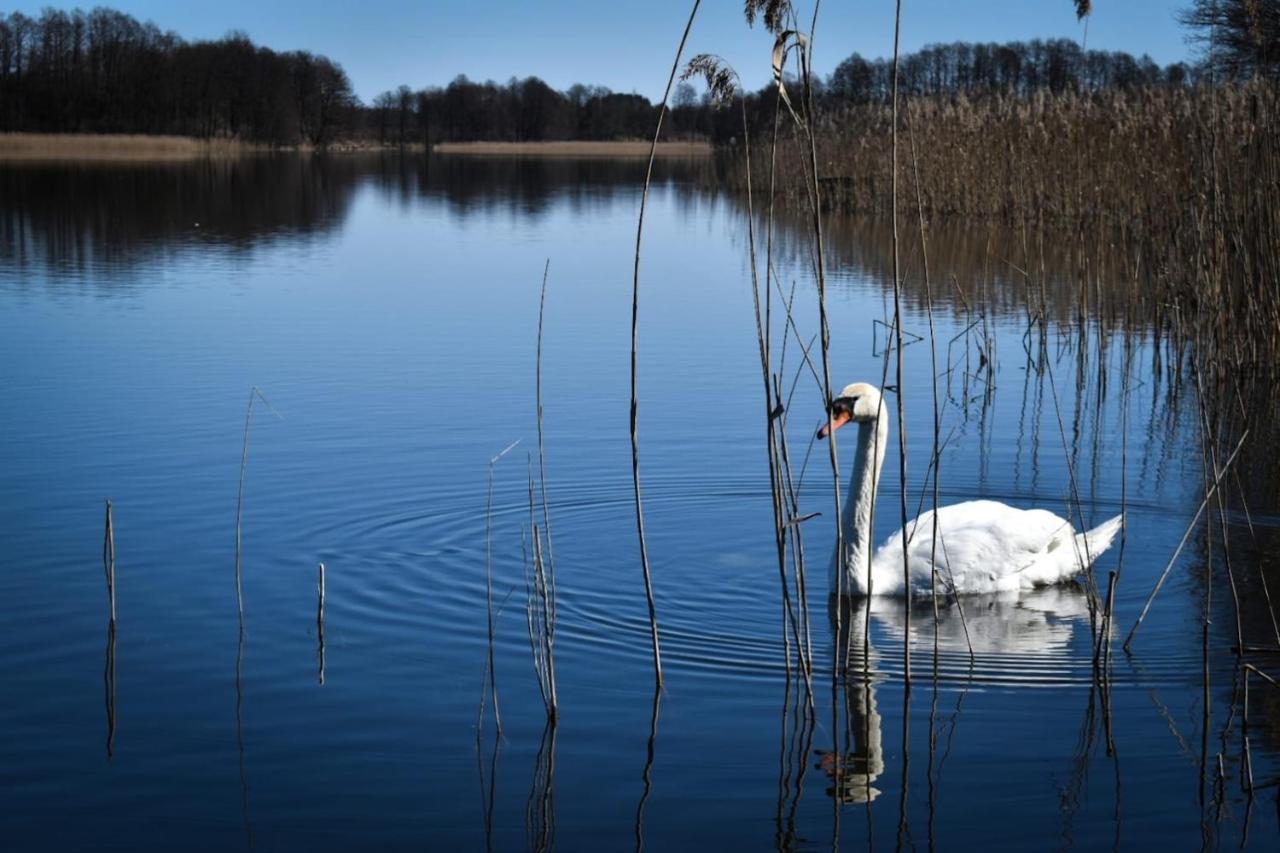 Pokoje LotNik nad jeziorem Mrągowo Zewnętrze zdjęcie